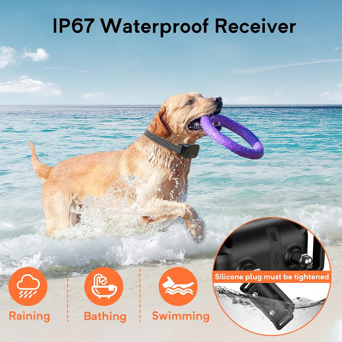 Waterproof Dog Training Collar with Remote, Pack of 2 G694609