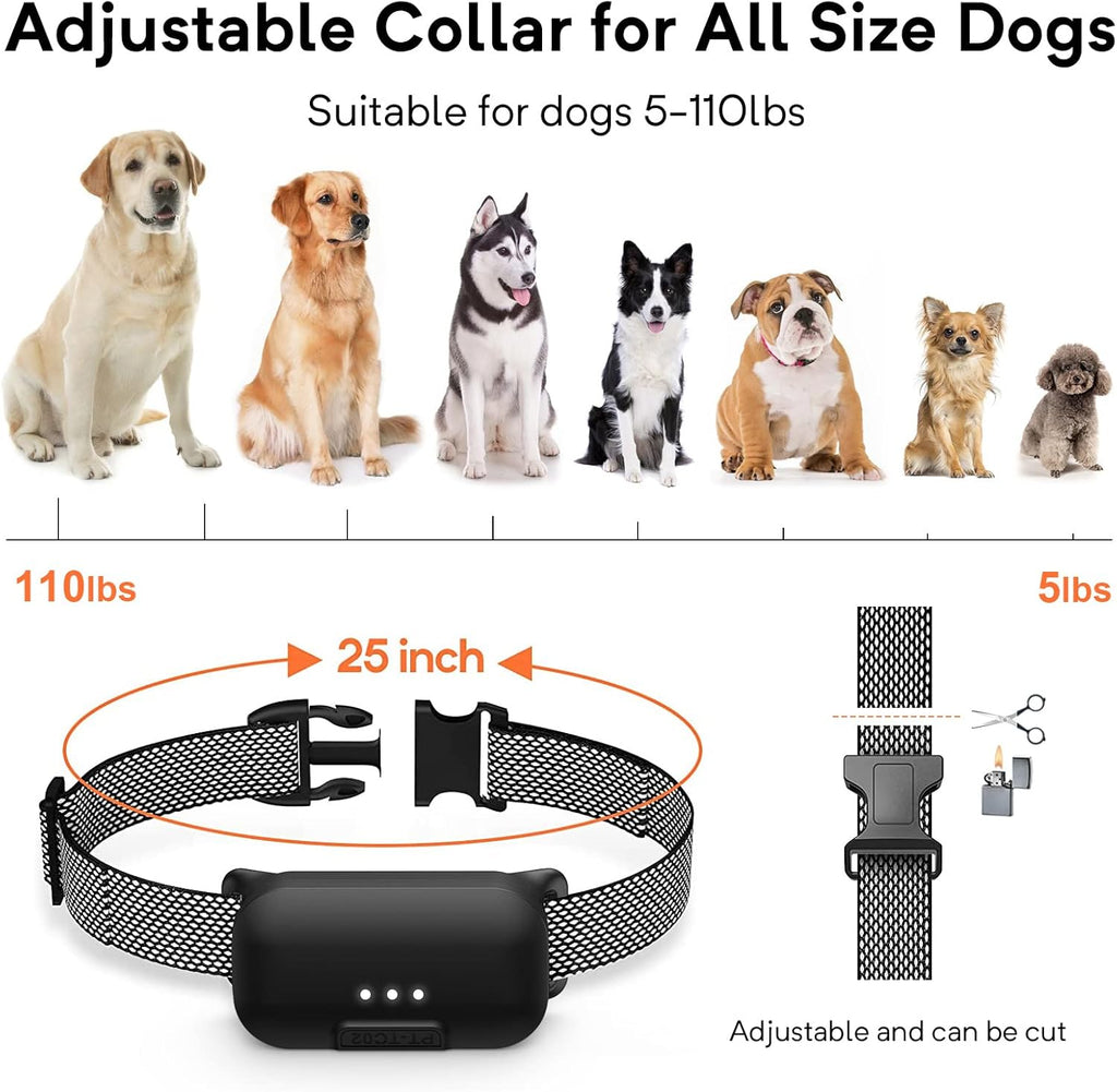Waterproof Dog Training Collar with Remote, Pack of 2 G694609