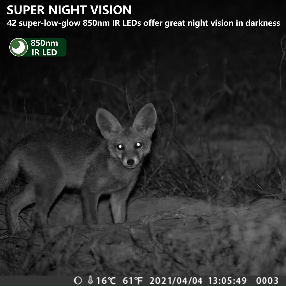 4K 32MP Dual Lens Trail Camera with Night Vision and 32GB Card L903