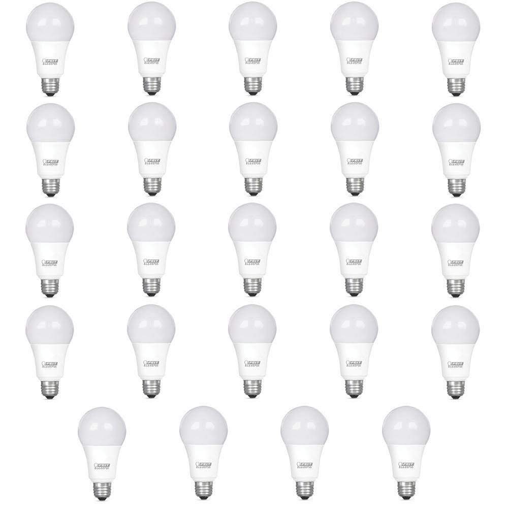 75-Watt Equivalent A19 Dimmable LED Light Bulb (24-Pack) E376590