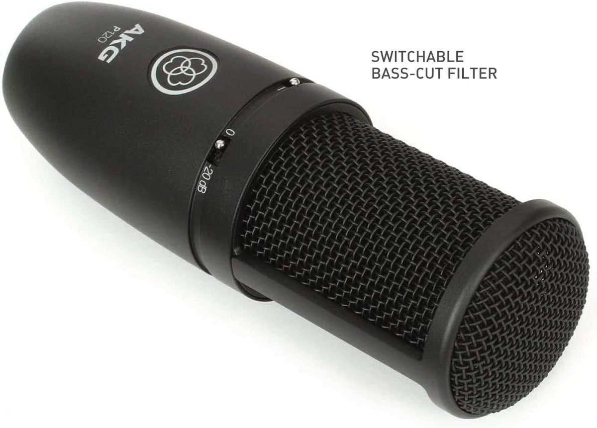 Recording Microphone B315