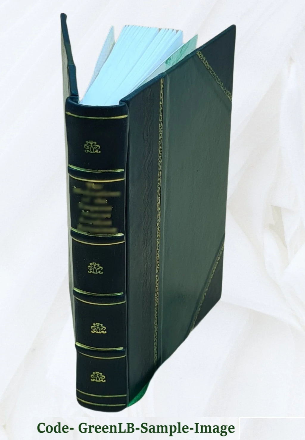 Leather Bound Book S8709