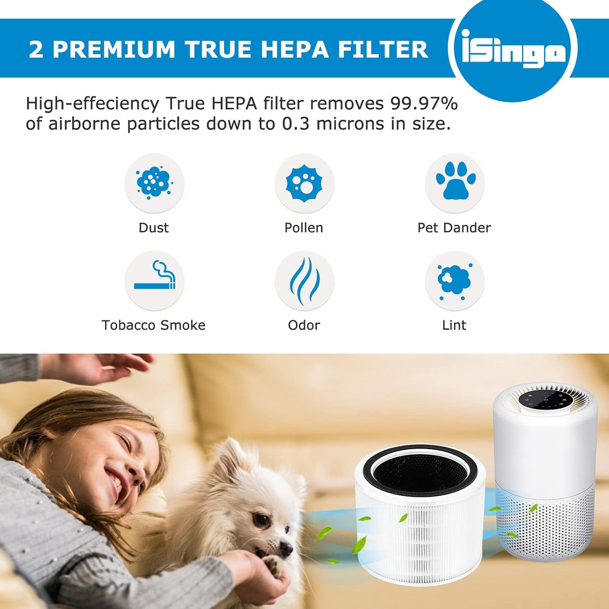 H13 True HEPA Replacement Filter, 2 Pack V5805