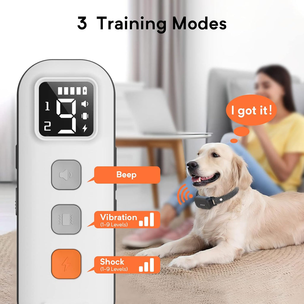 Waterproof Dog Training Collar with Remote, Pack of 2 G694609