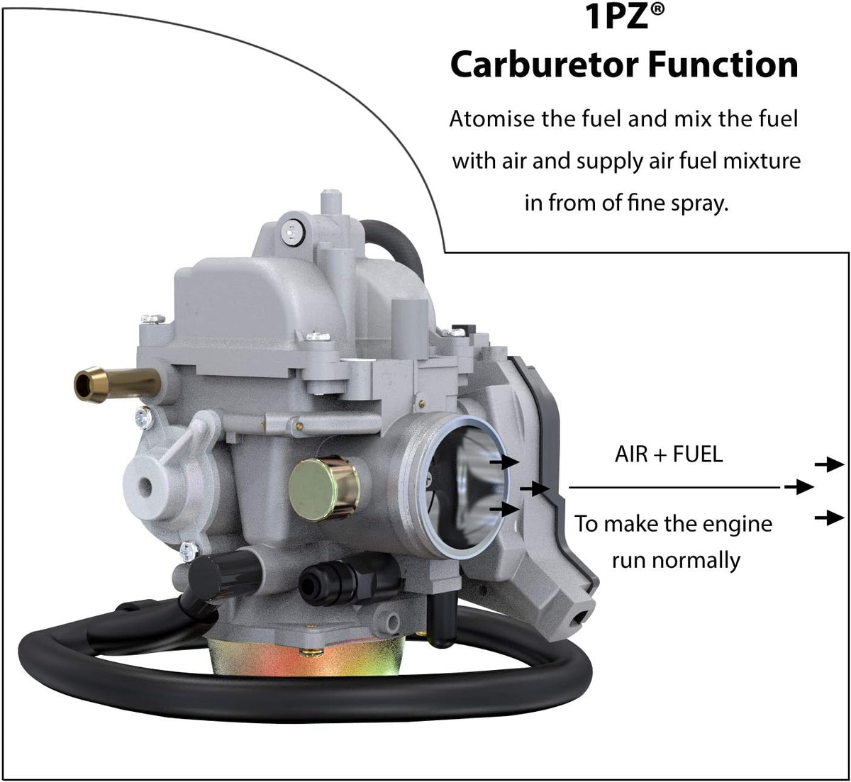 Carburetor Pack of 2 O380078