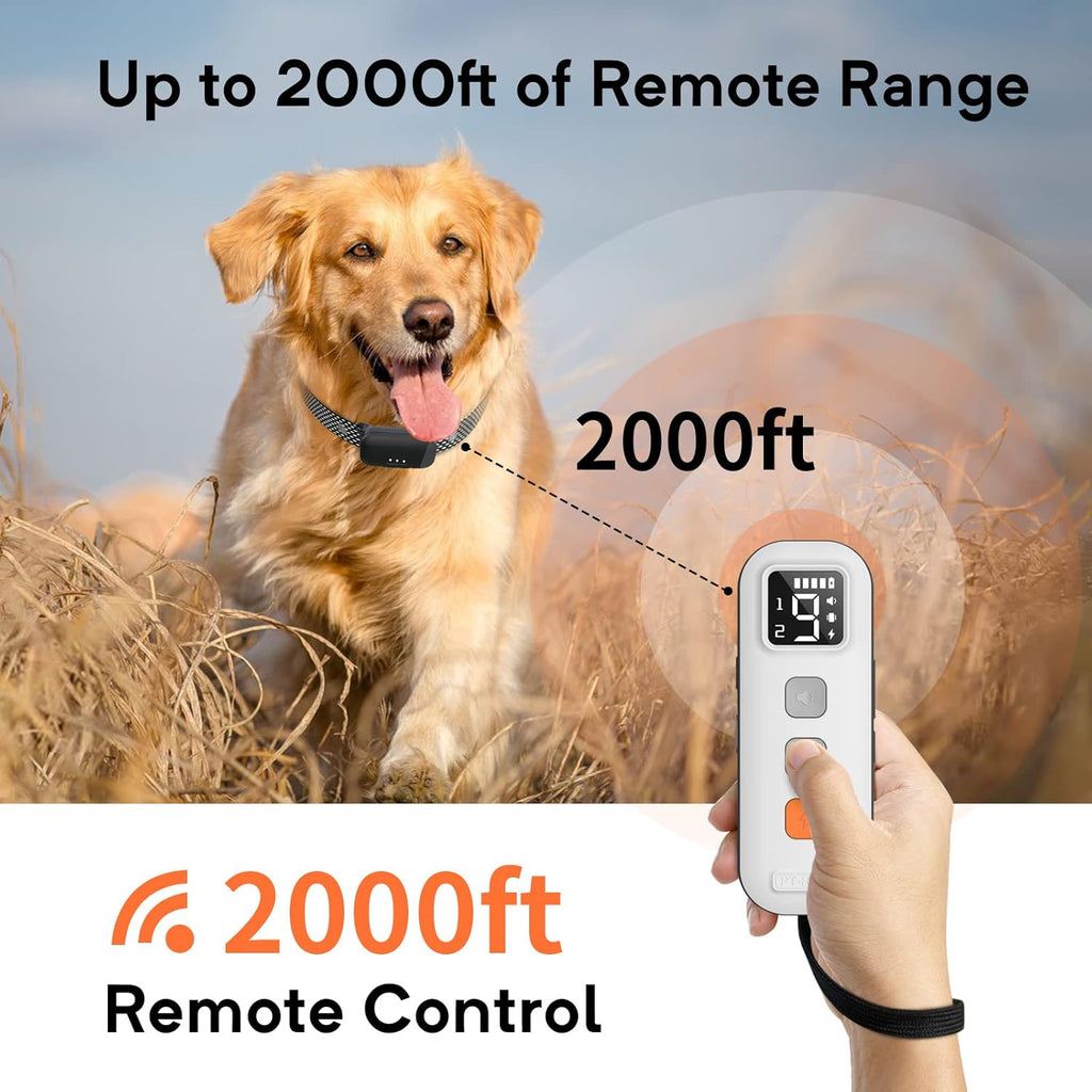 Waterproof Dog Training Collar with Remote, Pack of 2 G694609