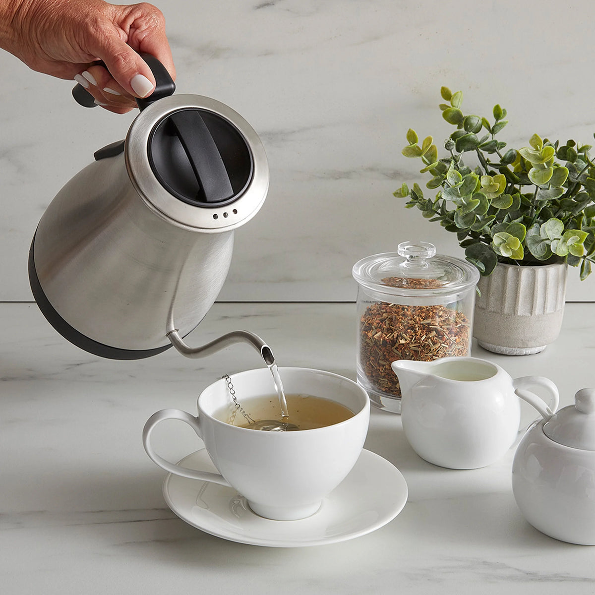 Digital Electric Gooseneck Kettle Brushed Stainless Steel L662424