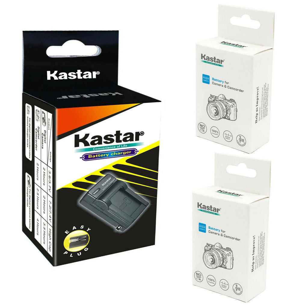 2-Pack Battery and AC Wall Charger B45862