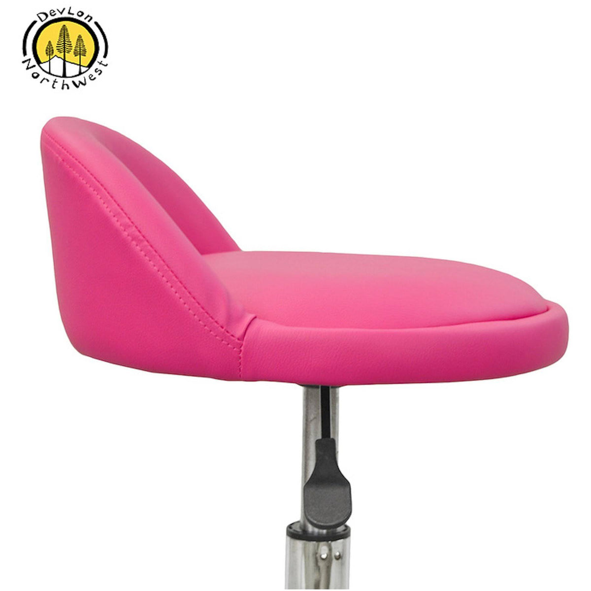 Pink Salon Stool with Back Rest Z718