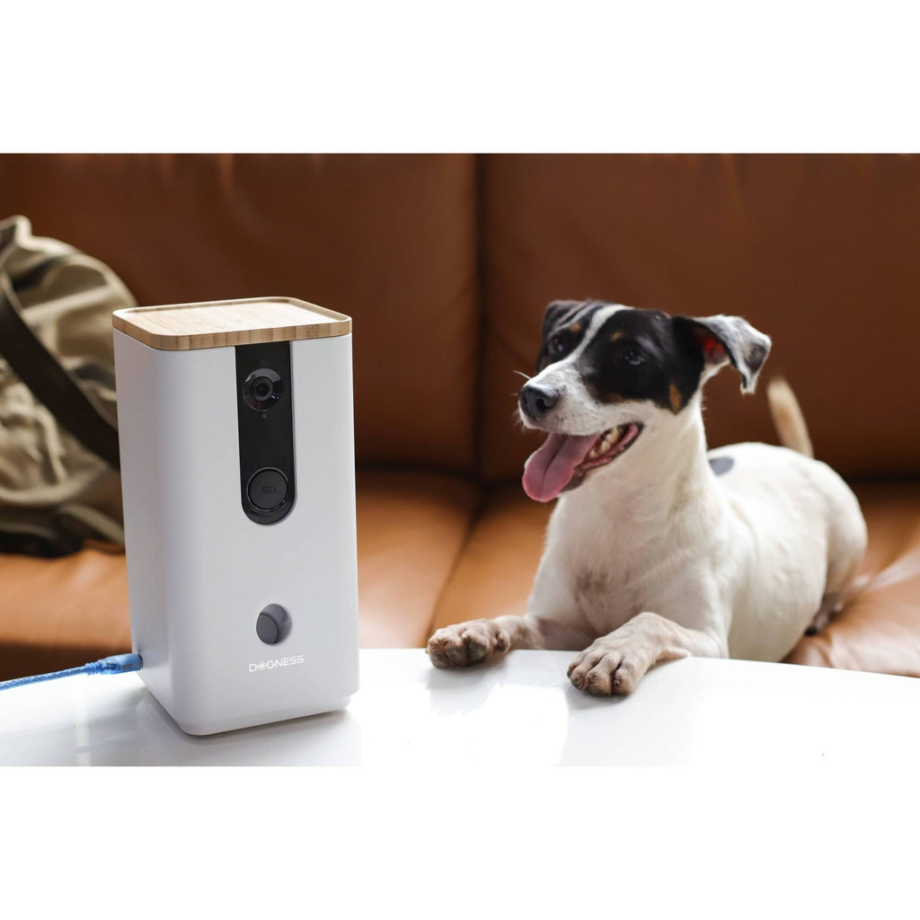 White Pet Treat Dispenser with Camera P621676