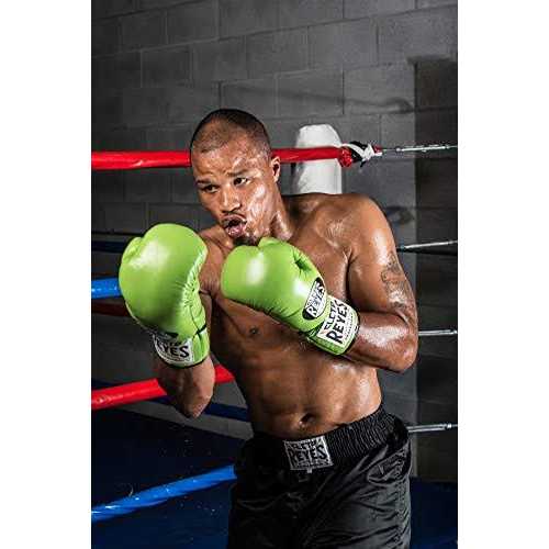 Official Boxing Gloves E987073