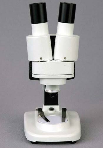 Portable Binocular Stereo Microscope, 20X and 40x Magnification K919353