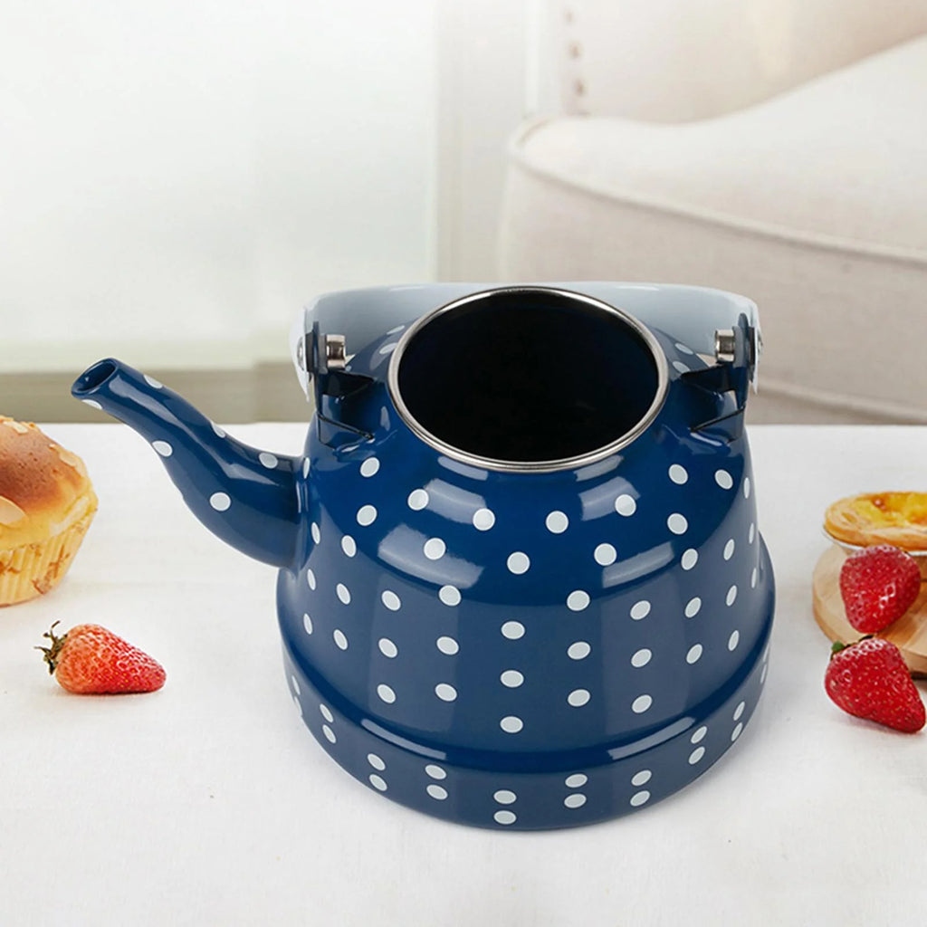 Blue Enamel Heating Water Kettle U6969