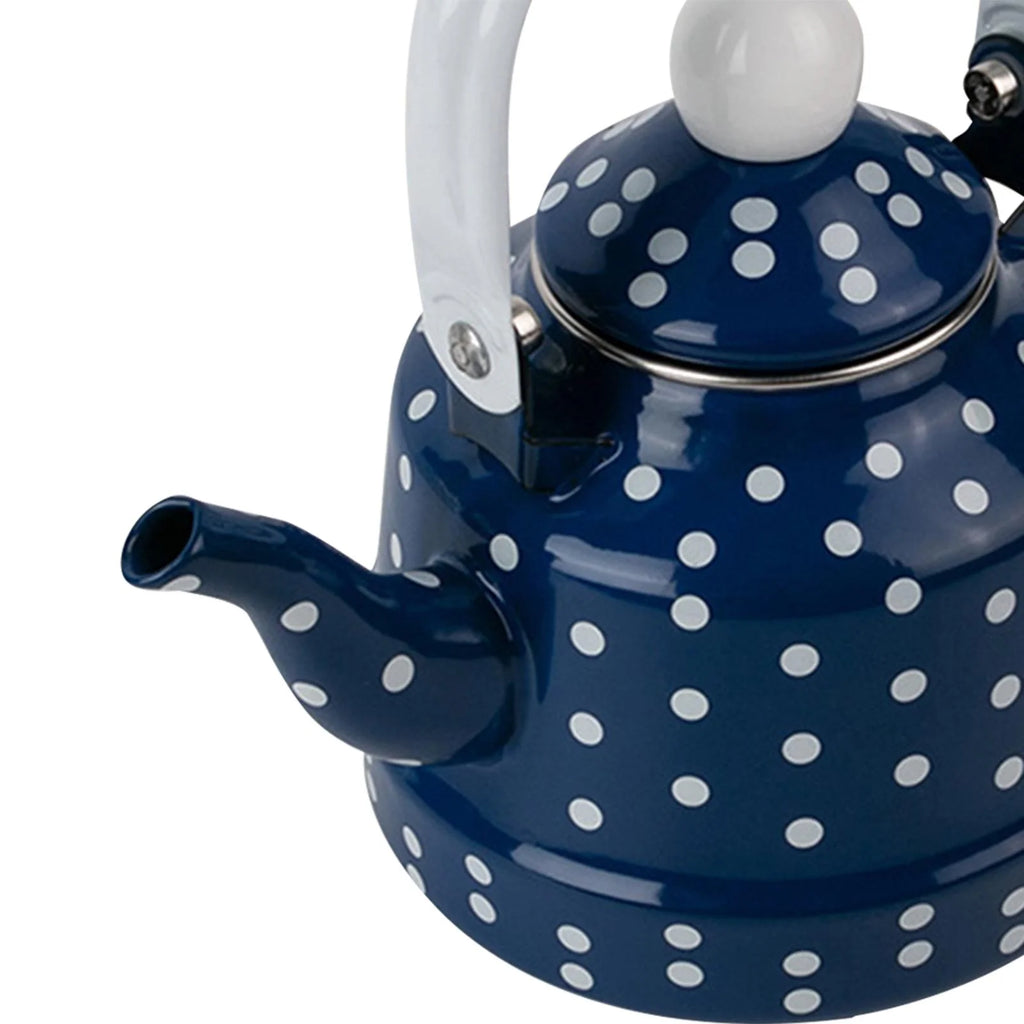 Blue Enamel Heating Water Kettle U6969