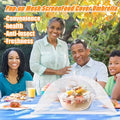 Large Pop-up Mesh Food Covers L190