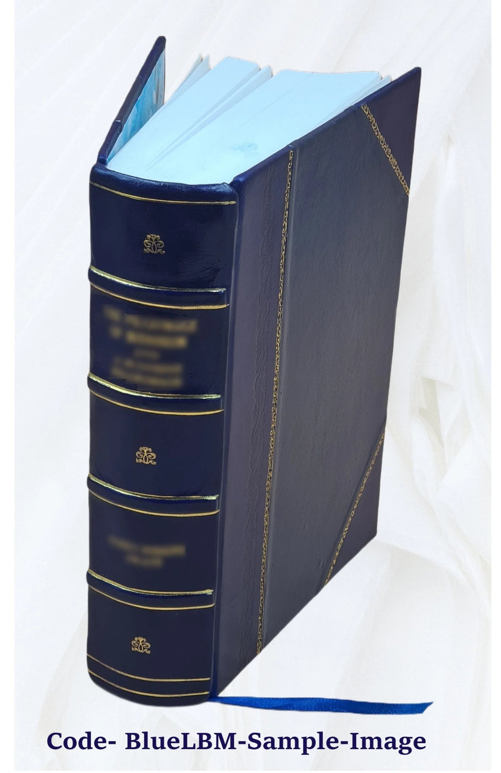 Leather Bound Book P9545