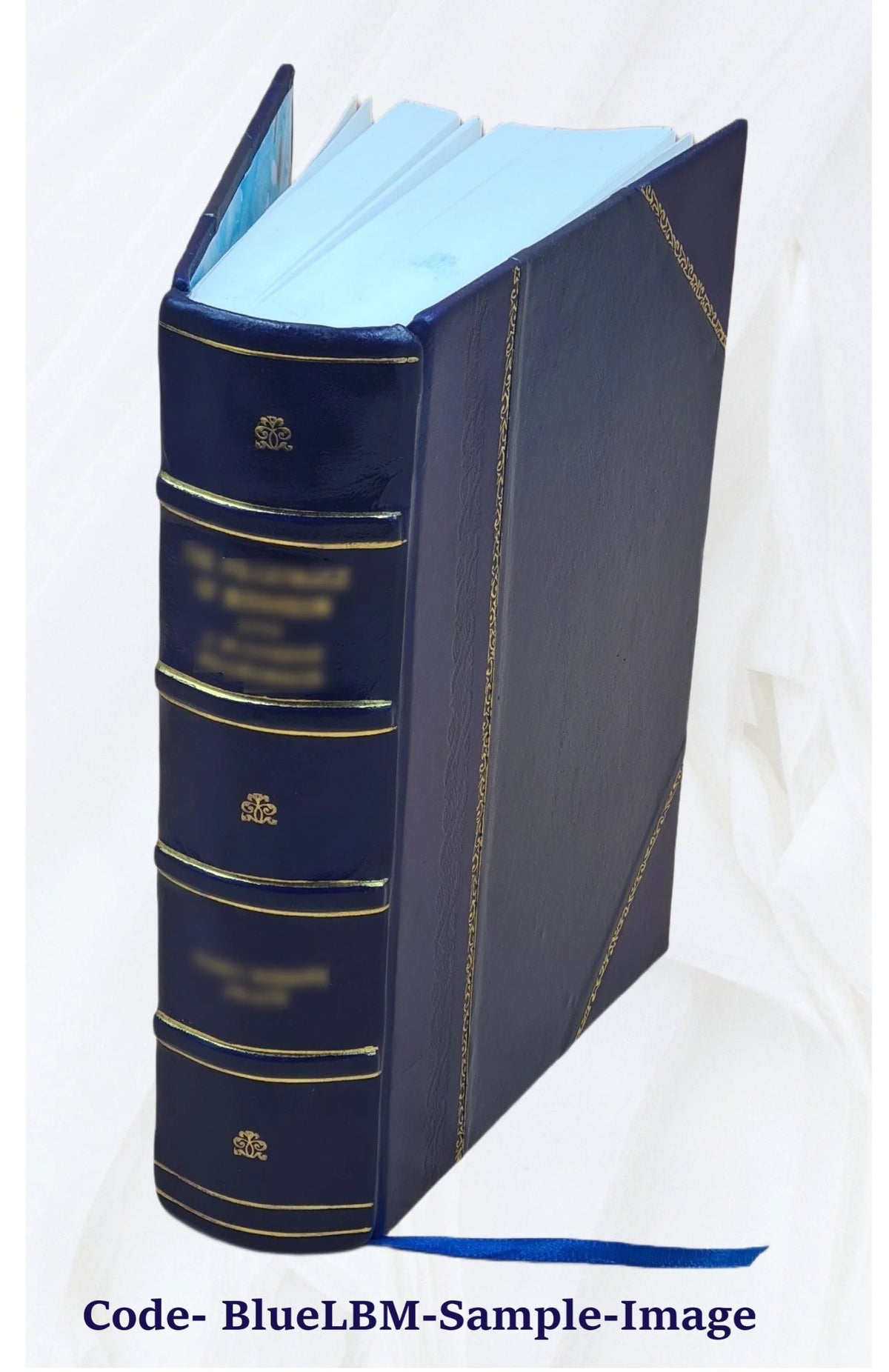 Leather Bound Book P9545