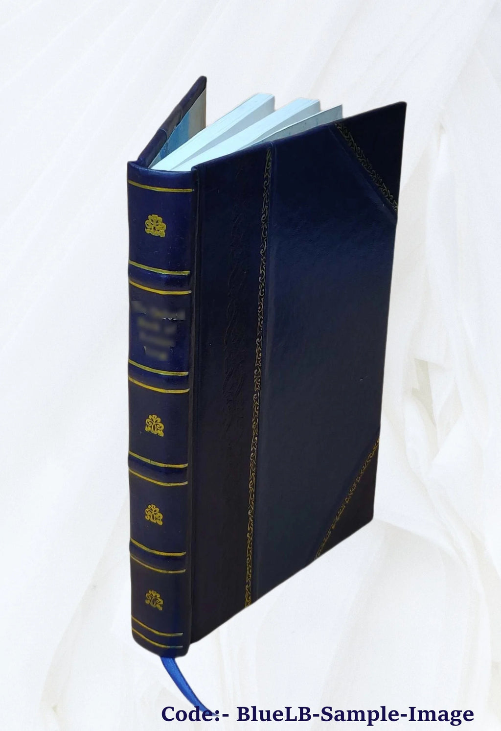 Leather Bound Book S8709