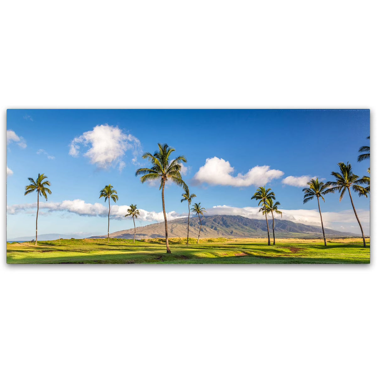Canvas Art P561