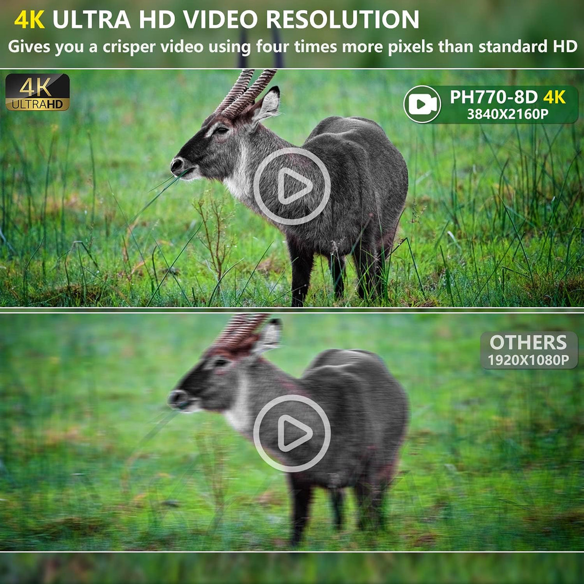 4K 32MP Dual Lens Trail Camera with Night Vision and 32GB Card L903