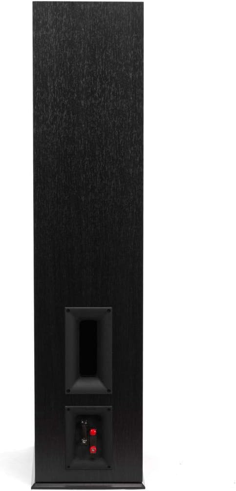Floorstanding Speaker with Dual 8 inch Cerametallic Cone Woofers Z1734