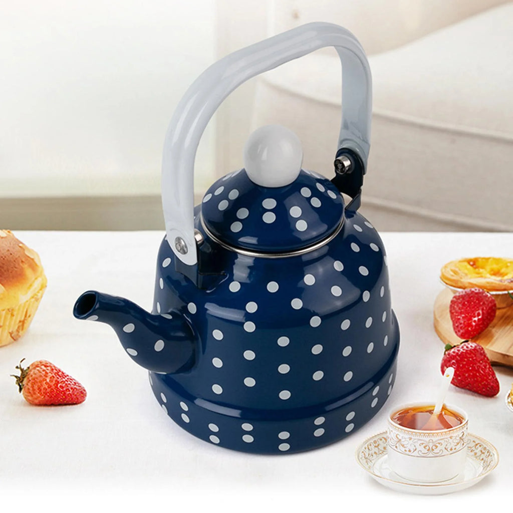 Blue Enamel Heating Water Kettle U6969
