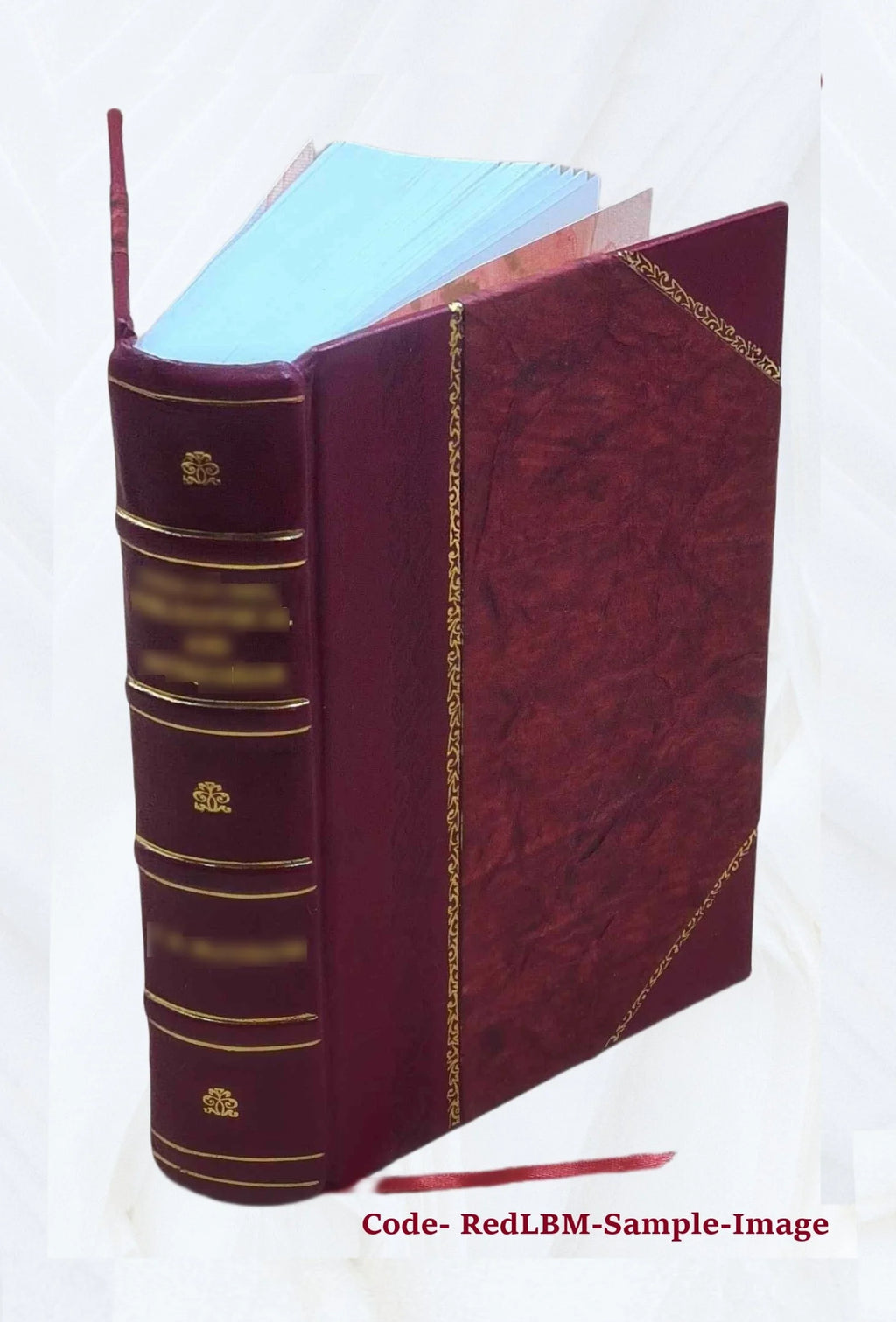 Leather Bound Book P9545