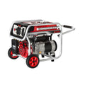 Gasoline Generator F74862