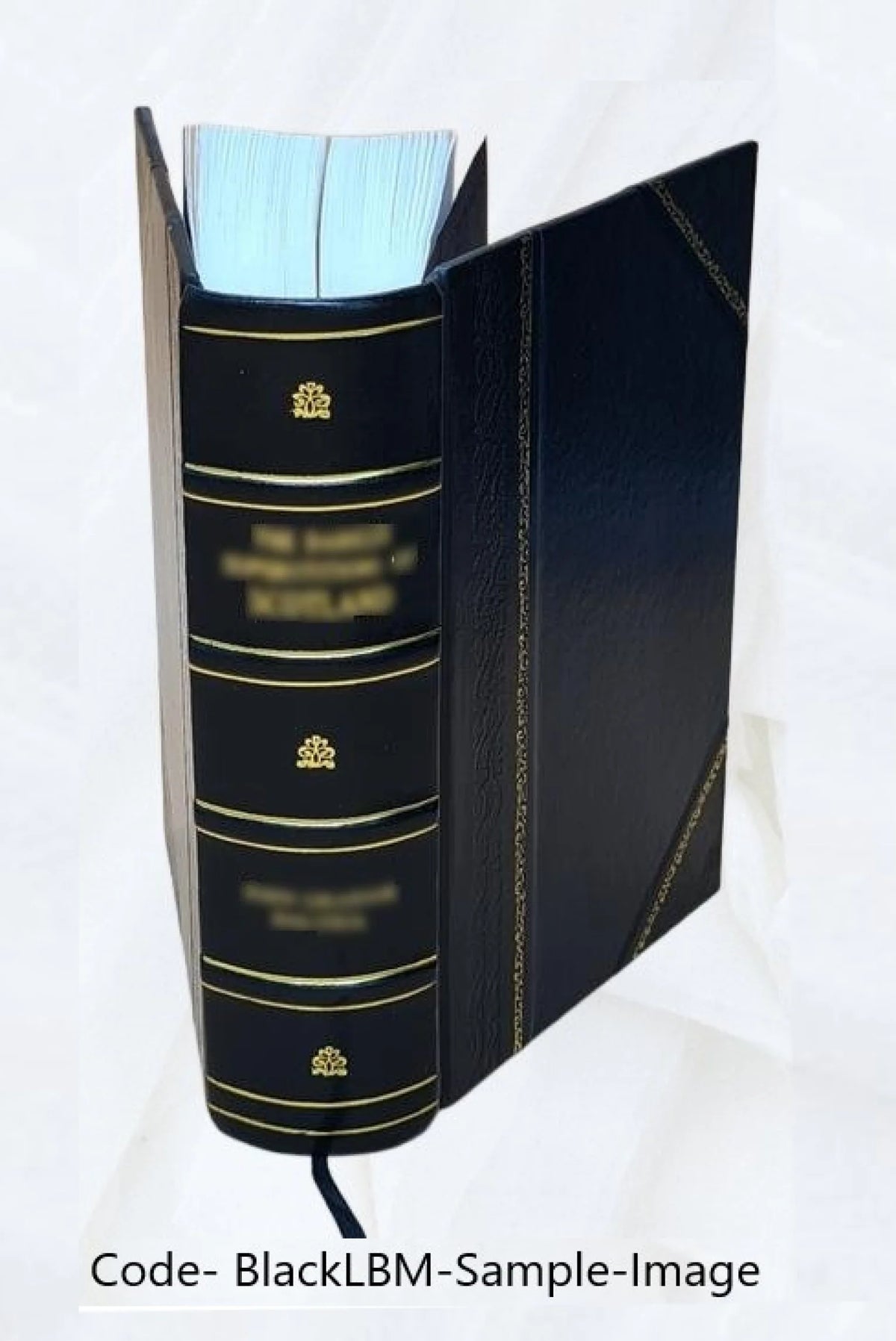 Leather Bound Book P9545