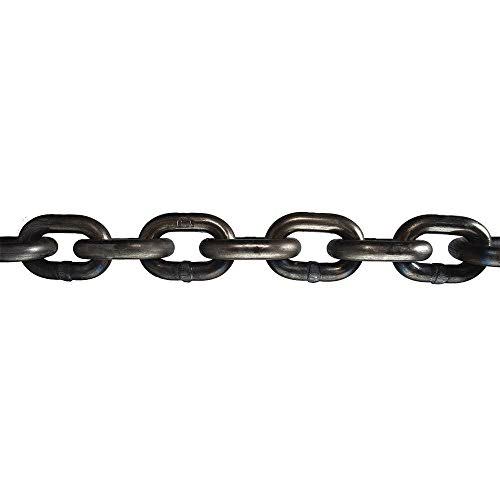 20 ft Grade 43 Straight Chain, 3900 lb Working Load Limit C761