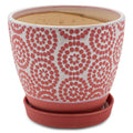 Red and White Ceramic Flower Pot Planter with Saucer P249