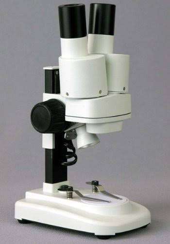 Portable Binocular Stereo Microscope, 20X and 40x Magnification K919353