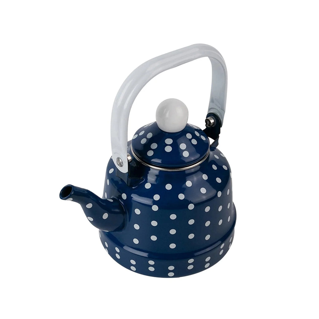 Blue Enamel Heating Water Kettle U6969