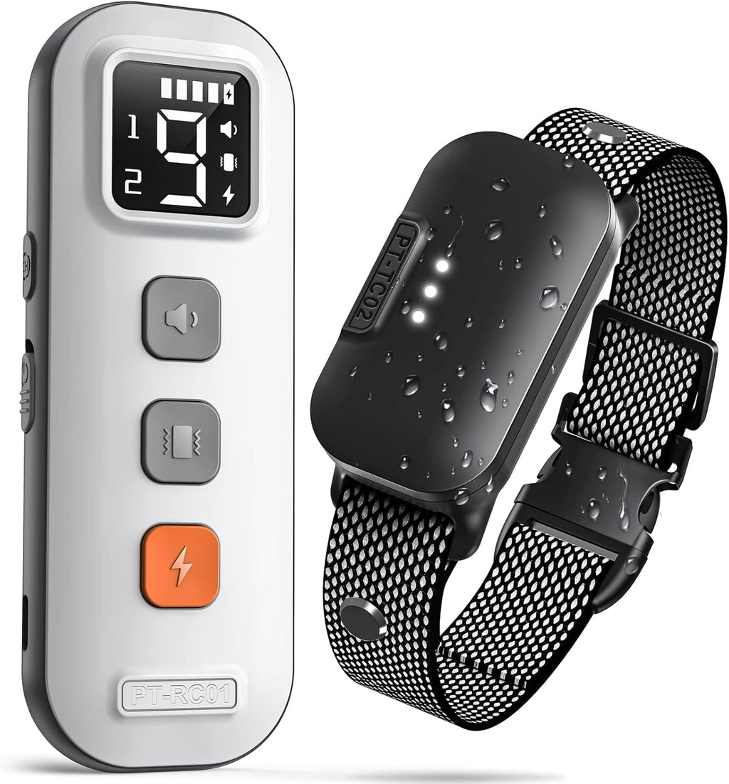 Waterproof Dog Training Collar with Remote, Pack of 2 G694609