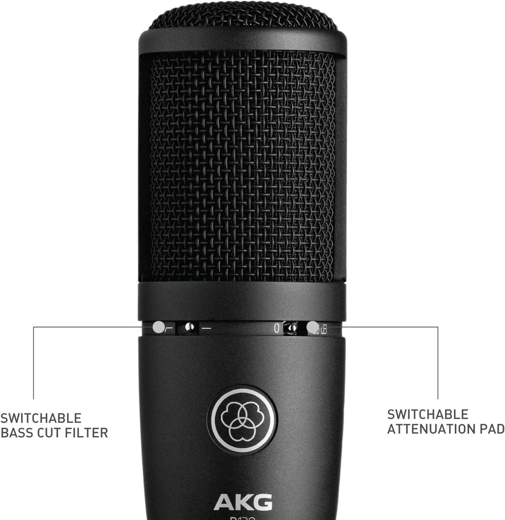 Recording Microphone B315