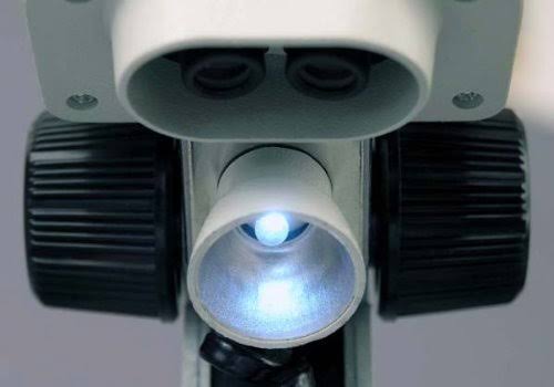 Portable Binocular Stereo Microscope, 20X and 40x Magnification K919353