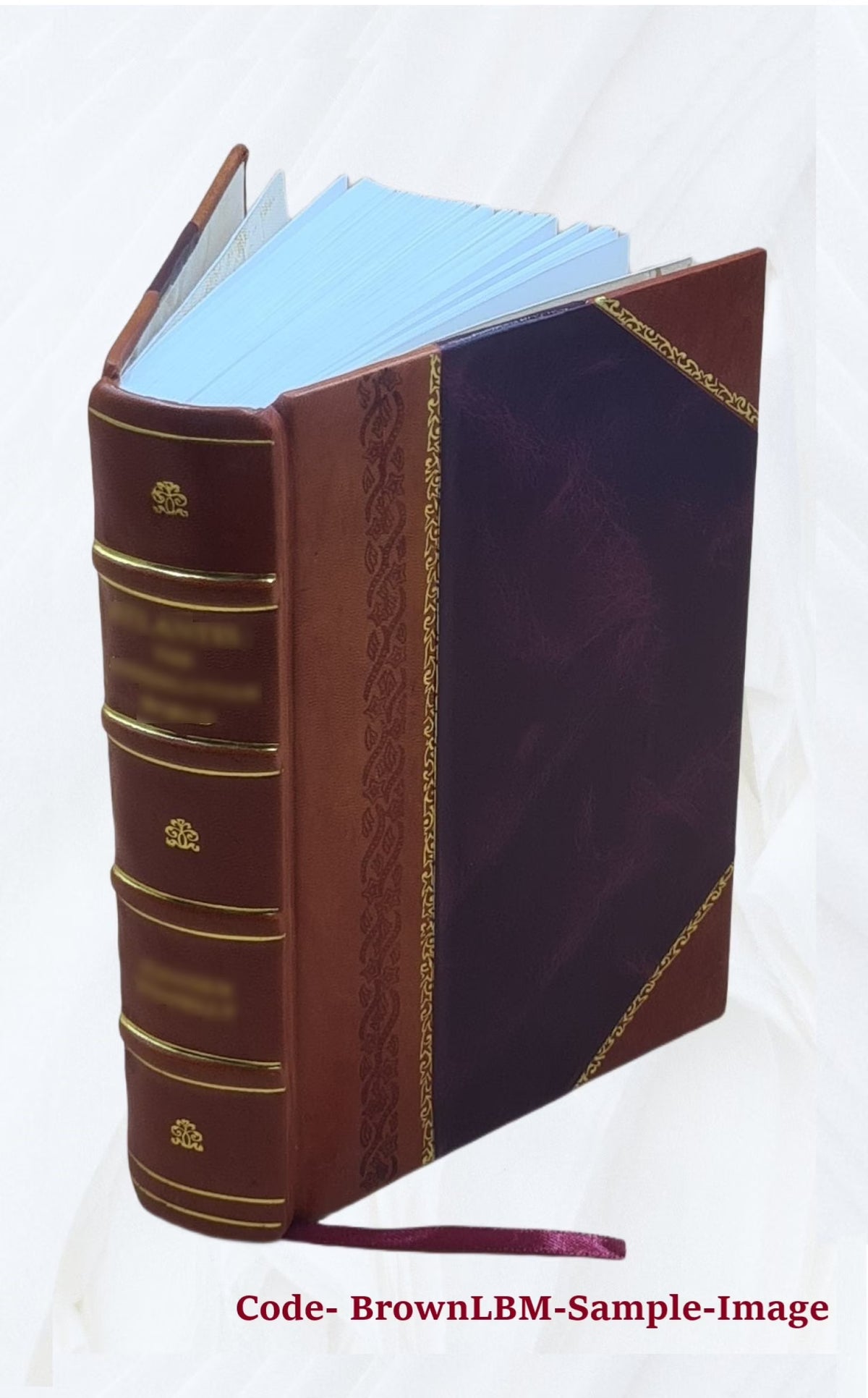 Leather Bound Book P9545