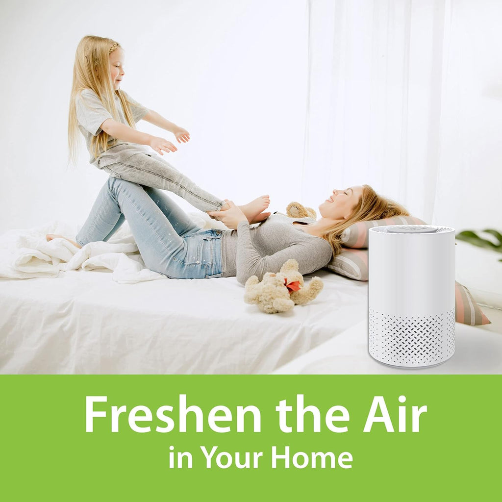 5 in 1 Air Purifier with H13 True HEPA, UV Light, Ionizer, Carbon Filter, Prefilter, Pack of 2 N501