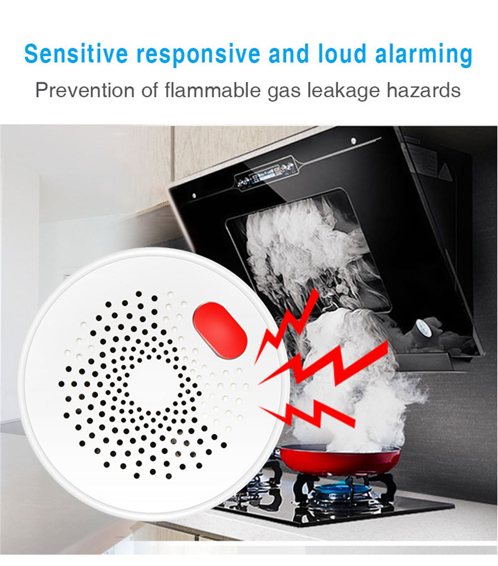 Tuya WiFi Gas Alarm C62298